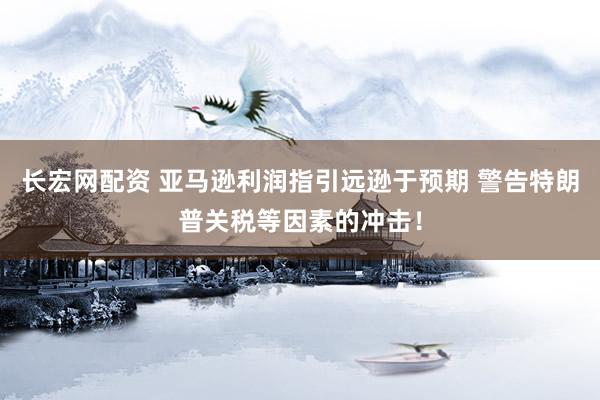 长宏网配资 亚马逊利润指引远逊于预期 警告特朗普关税等因素的冲击！