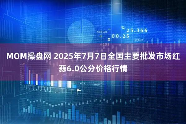 MOM操盘网 2025年7月7日全国主要批发市场红蒜6.0公分价格行情