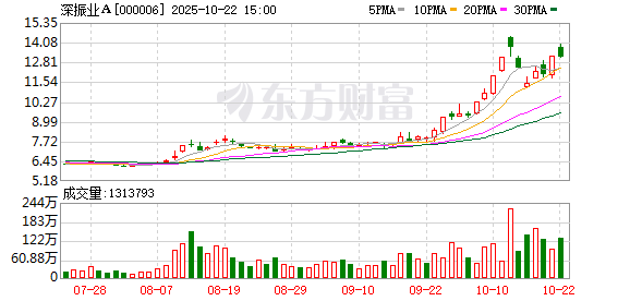 红和古 深振业A：2024年度股东大会决议公告