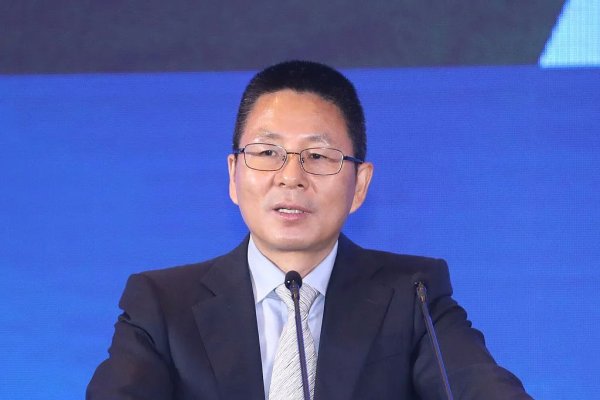 驰盈策略 中共中央批准，开除王建军、徐宪平、宋朝华党籍